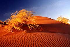Visit Mesr Desert in this Iran tour