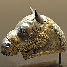 Iran Historical Tours - Head of the Horse